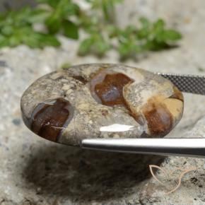 Jaspe Multicolorido Natural 29.47ct, oval, Opaco