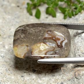 Jaspe Multicolorido Natural 19.87ct, Almofada, Opaco