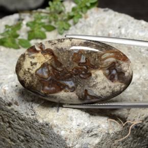 Jaspe Multicolorido Natural 46.44ct, oval, Opaco