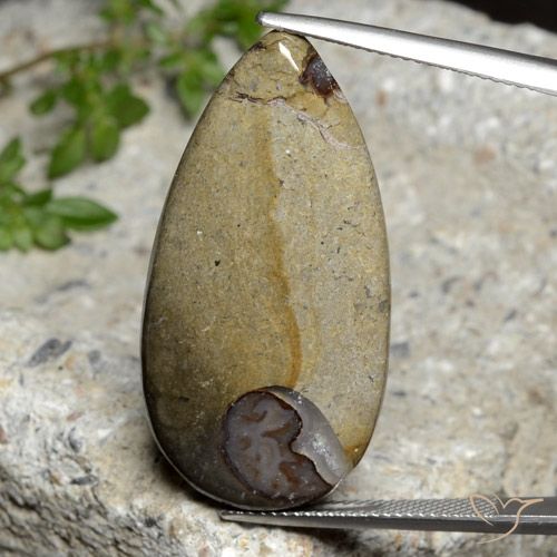 24.26ct Natural Multicolorido Jaspe, Formato de pêra, Opaco