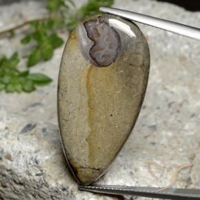 Jaspe Multicolorido Natural 24.26ct, Formato de pêra, Opaco