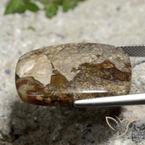 Jaspe Multicolorido Natural 26.06ct, Almofada, Opaco