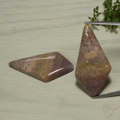 48.56ctw Natural Multicolorido Jaspe, Chique, Opaco