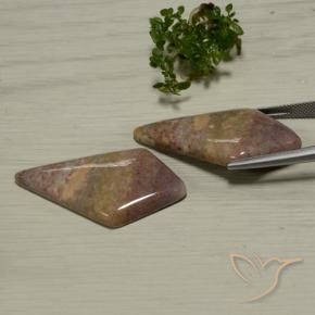 Pedras preciosas de Jaspe Multicolorido natural de 48.56 ct, Chique, Opaco