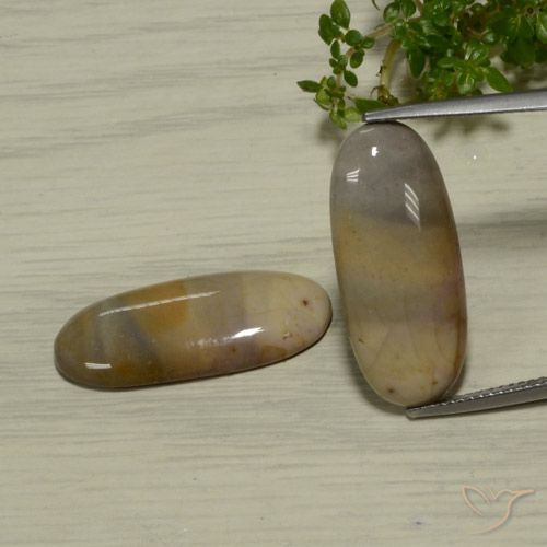17.37ctw Natural Multicolorido Jaspe, oval, Opaco