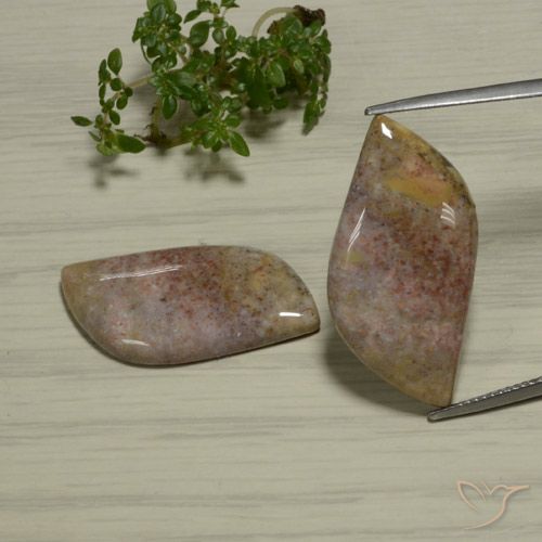 28.77ctw Natural Multicolorido Jaspe, Chique, Opaco