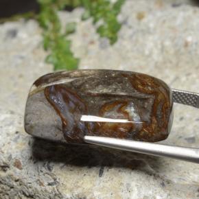 Jaspe Multicolorido Natural 25.44ct, Almofada cortada, Opaco