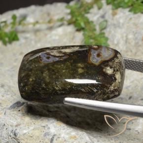 Jaspe Multicolorido Natural 26.54ct, Almofada, Opaco
