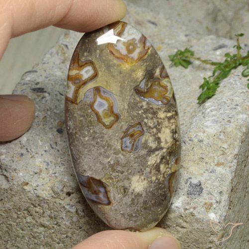 76.29ct Natural Multicolorido Jaspe, oval, Opaco