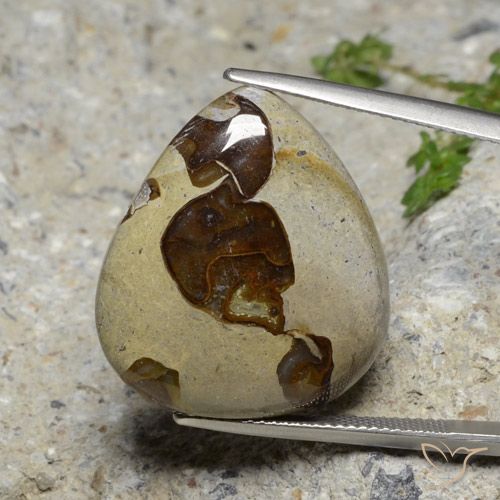 22.24ct Natural Multicolorido Jaspe, Formato de pêra, Opaco