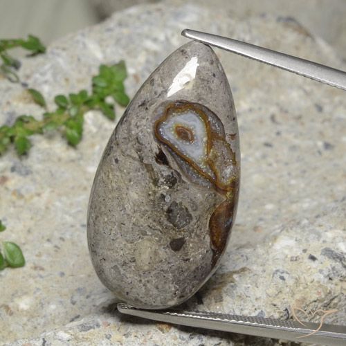 23.89ct Natural Multicolorido Jaspe, Formato de pêra, Opaco