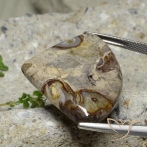 Jaspe Multicolorido Natural 28.71ct, Trilhão, Opaco
