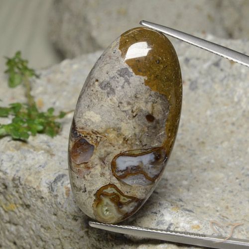 30.95ct Natural Multicolorido Jaspe, oval, Opaco, Photo A