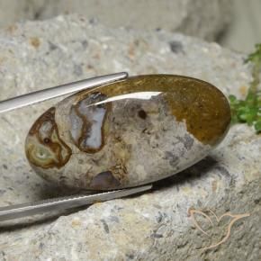 Jaspe Multicolorido Natural 30.95ct, oval, Opaco