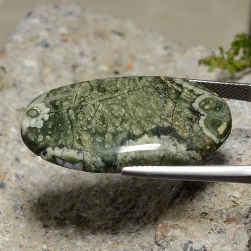 Jaspe Multicolorido Natural 29.99ct, oval, Opaco