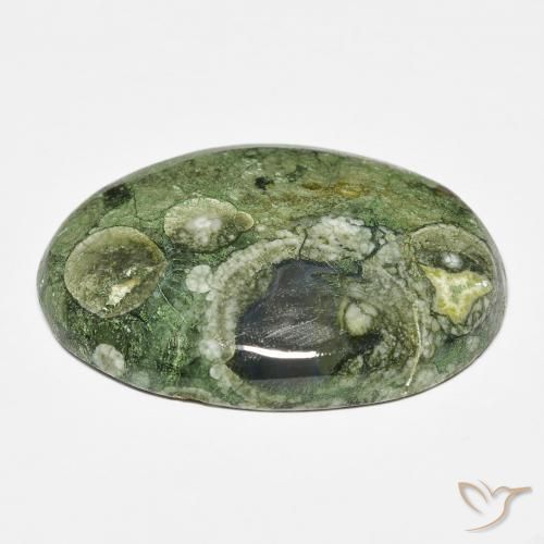 Jaspe Multicolorido Natural 19.43ct, oval, Opaco