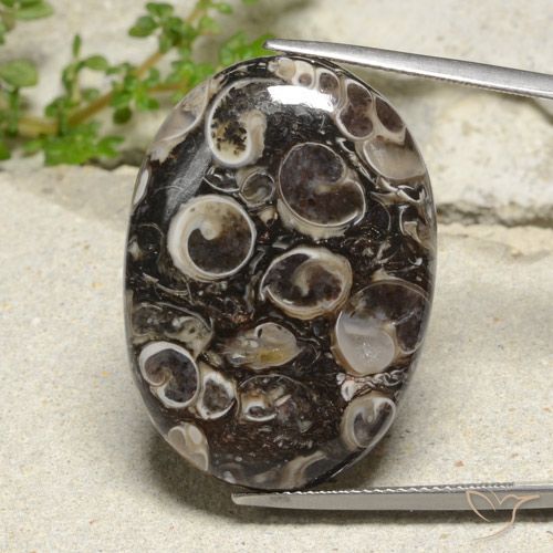 35.02ct Natural Multicolorido Jaspe, oval, Opaco