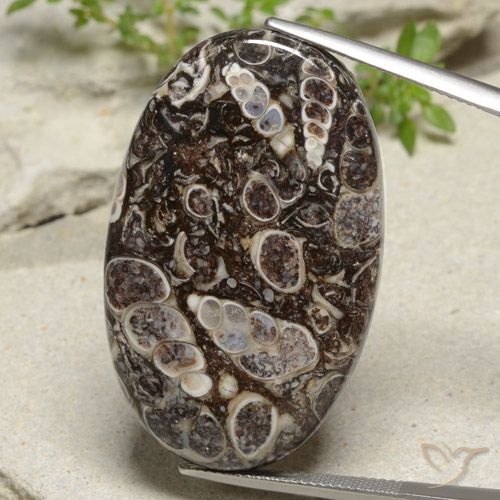 43.97ct Natural Multicolorido Jaspe, oval, Opaco