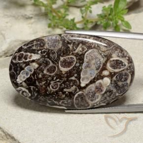 Jaspe Multicolorido Natural 43.97ct, oval, Opaco