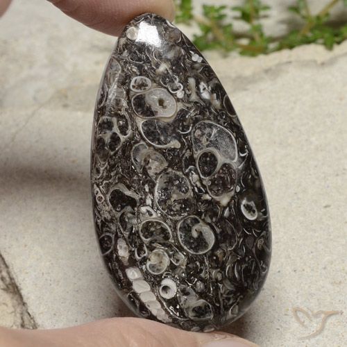 48.79ct Natural Multicolorido Jaspe, Formato de pêra, Opaco