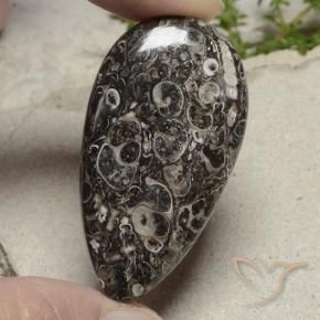 Jaspe Multicolorido Natural 48.79ct, Formato de pêra, Opaco