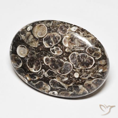 Jaspe Multicolorido Natural 45.70ct, oval, Opaco