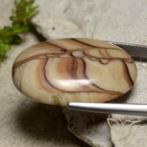 Jaspe Multicolorido Natural 24.50ct, oval, Opaco