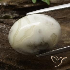 Jaspe Multicolorido Natural 17.21ct, oval, Opaco