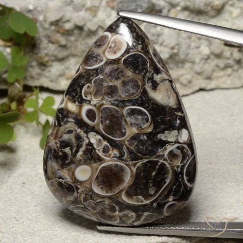 Pedra preciosa pêra jaspe de 39,2 quilates, jaspe certificado solto da Indonésia, Gema natural não tratada, 33,6 x 24,5 mm, Photo A