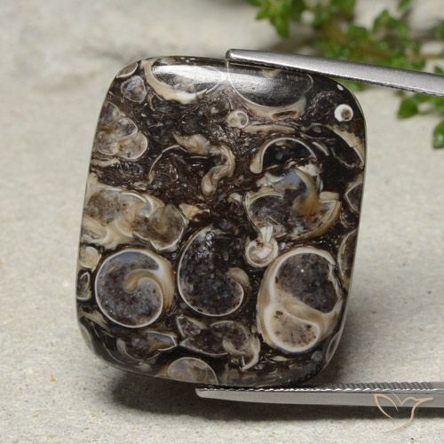 33.41ct Natural Multicolorido Jaspe, Almofada, Opaco