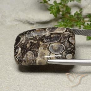 Jaspe Multicolorido Natural 33.41ct, Almofada, Opaco