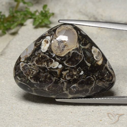 31.57ct Natural Multicolorido Jaspe, Formato de pêra, Opaco