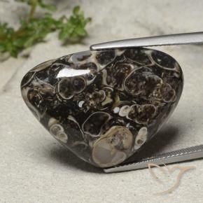 Jaspe Multicolorido Natural 31.57ct, Formato de pêra, Opaco