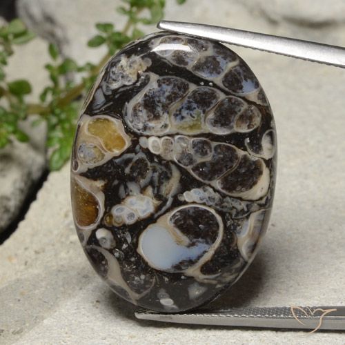 31.02ct Natural Multicolorido Jaspe, oval, Opaco