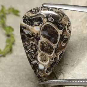 Jaspe multicolorido natural 13,84ct, formato de pêra, opaco