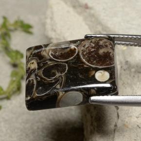 Jaspe multicolorido natural 16,47ct, baguete, opaco