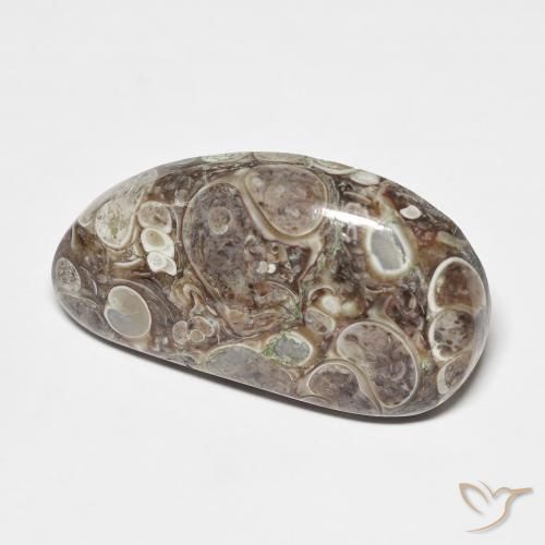 Jaspe Multicolorido Natural 20.68ct, Chique, Opaco