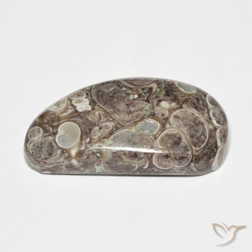 Jaspe Multicolorido Natural 20.68ct, Chique, Opaco
