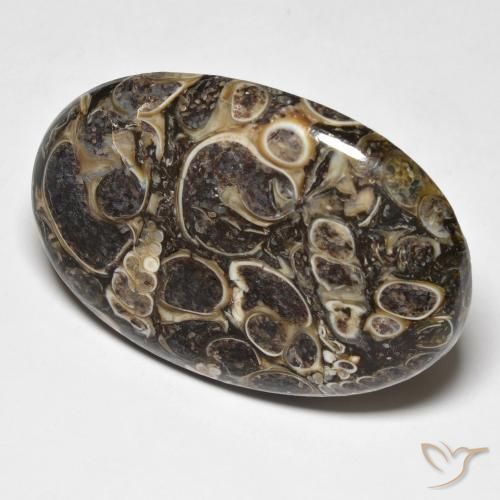 Jaspe Multicolorido Natural 37.39ct, oval, Opaco