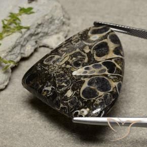 Jaspe Multicolorido Natural 41.63ct, Formato de pêra, Opaco