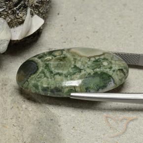 Jaspe Multicolorido Natural 25.95ct, oval, Opaco