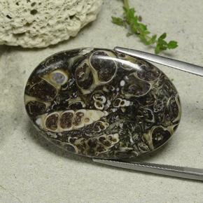 Jaspe multicolorido natural 33,14ct, corte oval, opaco