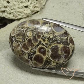 Jaspe Multicolorido Natural 40.61ct, oval, Opaco