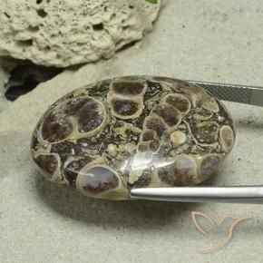 Jaspe Multicolorido Natural 40.61ct, oval, Opaco