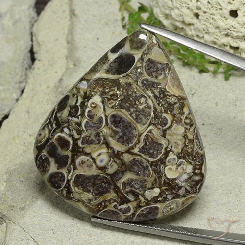 46.19ct Natural Multicolorido Jaspe, Formato de pêra, Opaco