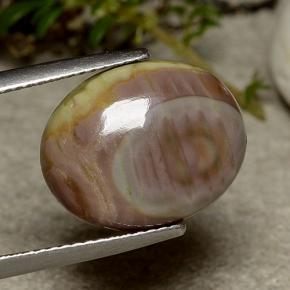 Jaspe multicolorido natural 5,51ct, corte oval, opaco