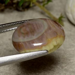 Jaspe multicolorido natural 5,51ct, corte oval, opaco
