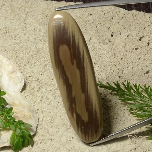 26.40ct Natural Multicolorido Jaspe, oval, Opaco