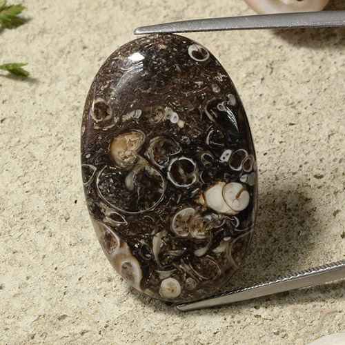 Pedra preciosa oval de jaspe de 31,54 quilates para venda, jaspe certificado solto da Indonésia, Gema natural não tratada, 31,3 x 20,4 mm, Photo A