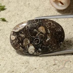 Jaspe Multicolorido Natural 31.54ct, oval, Opaco
